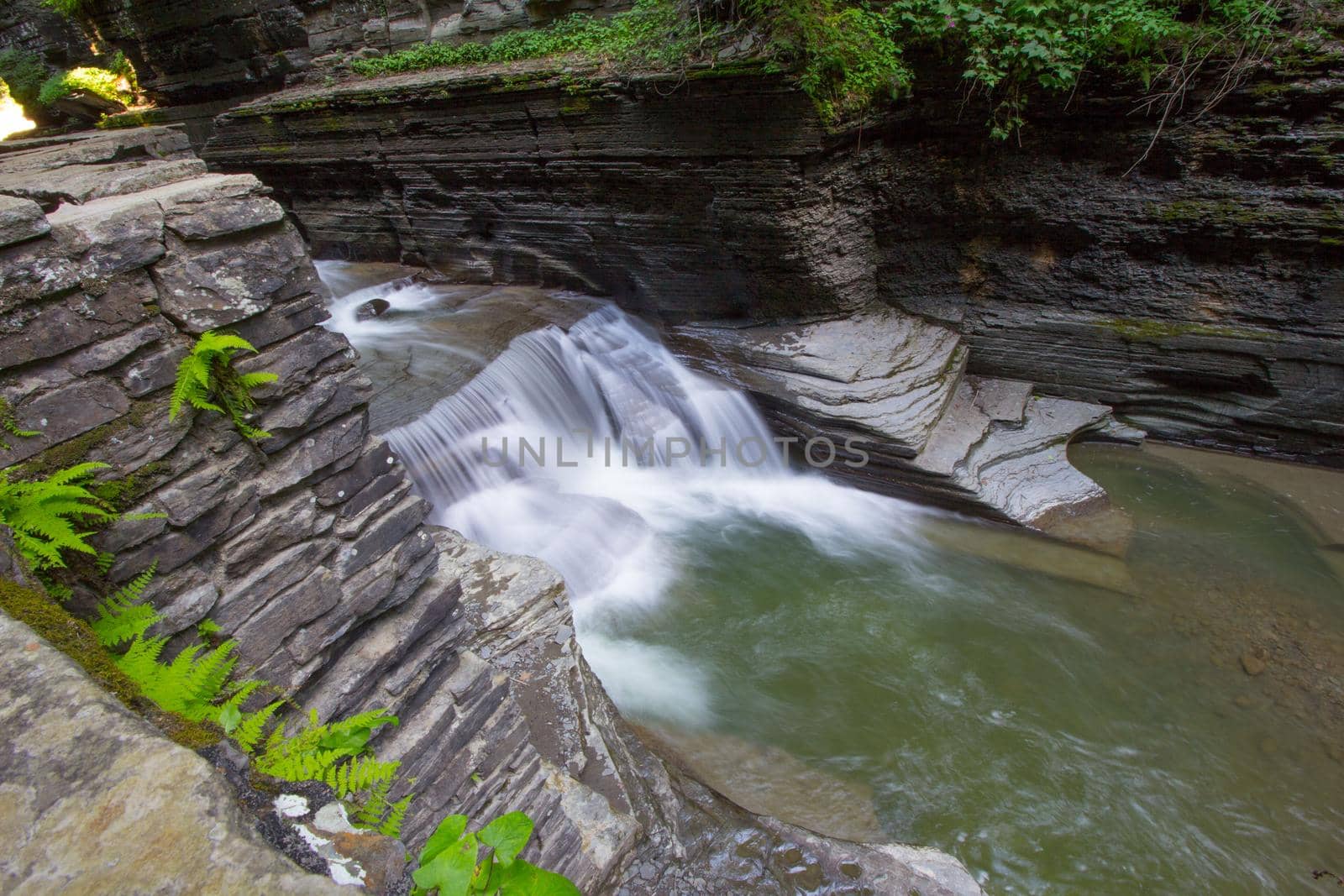 Robert E Treman State Park, New York