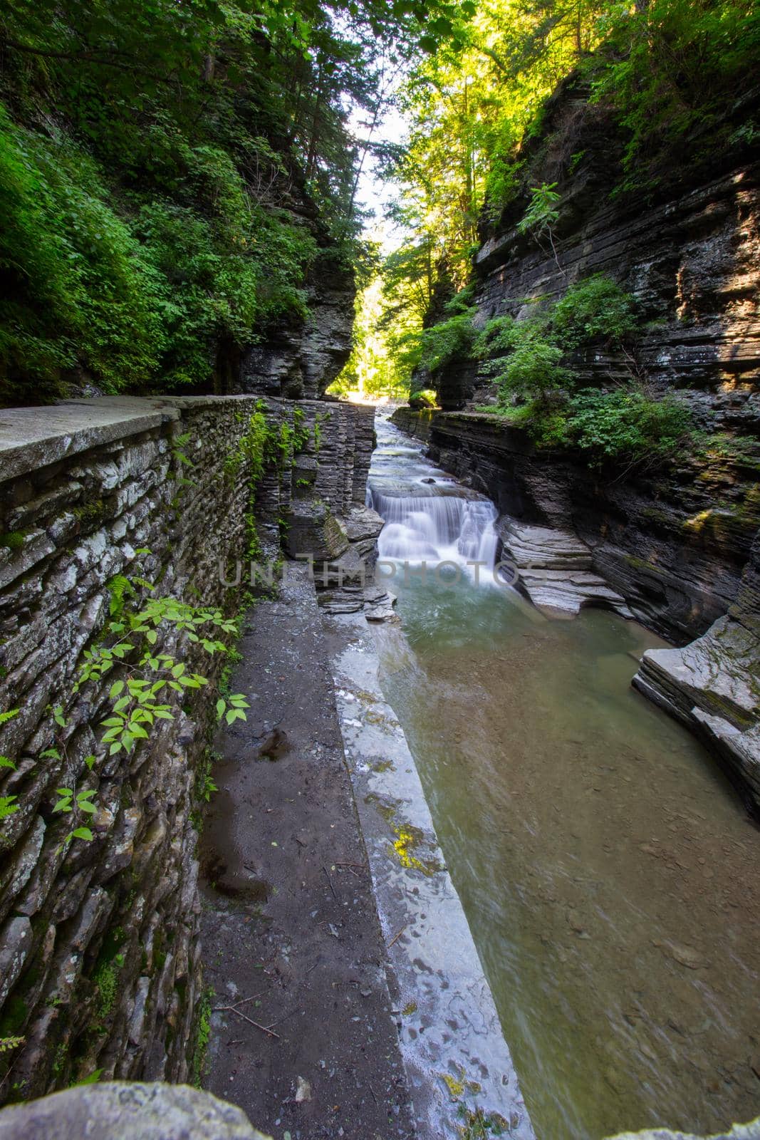 Robert E Treman State Park, New York