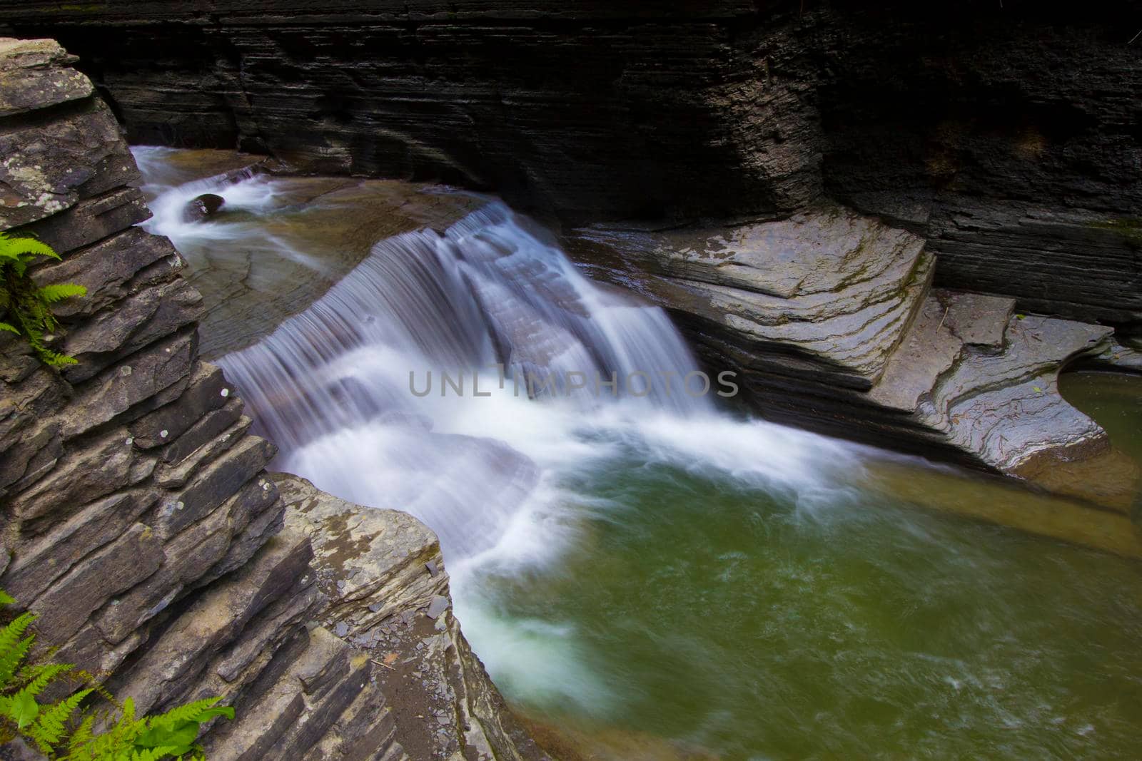 Robert E Treman State Park, New York