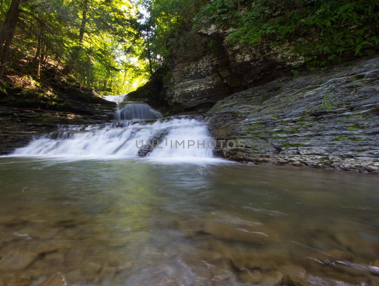 Robert E Treman State Park, New York