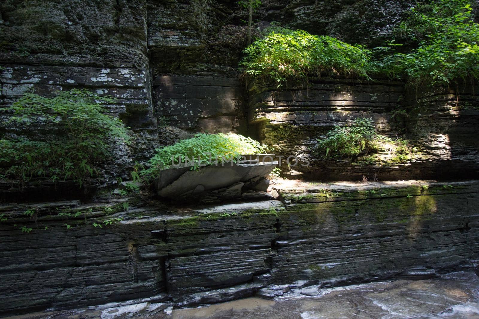 Robert E Treman State Park, New York