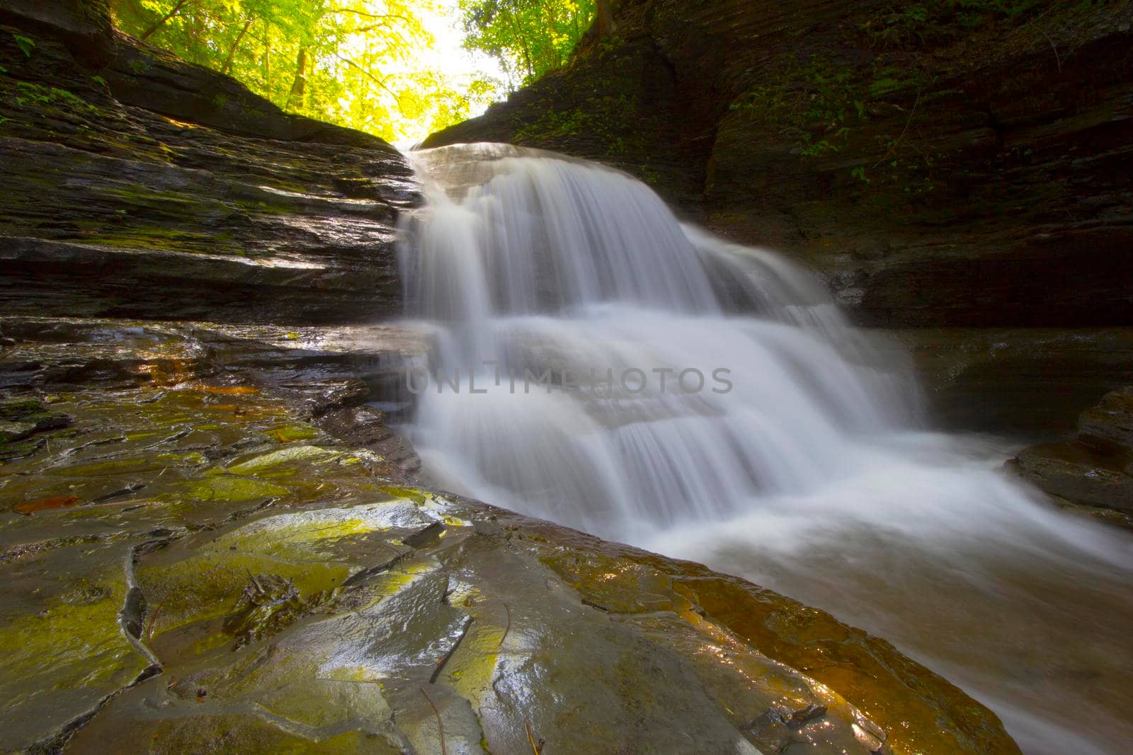 Robert E Treman State Park, New York