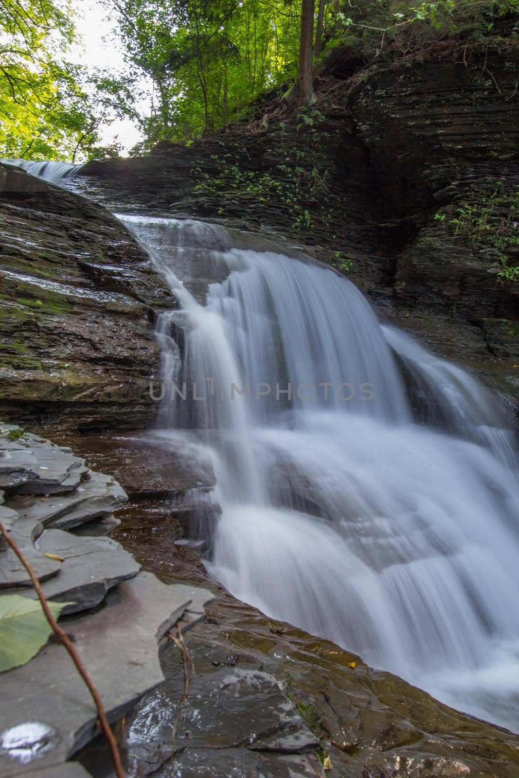 Robert E Treman State Park, New York