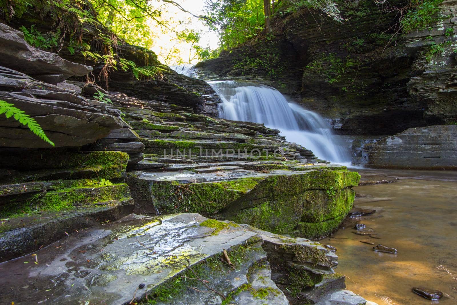 Robert E Treman State Park, New York