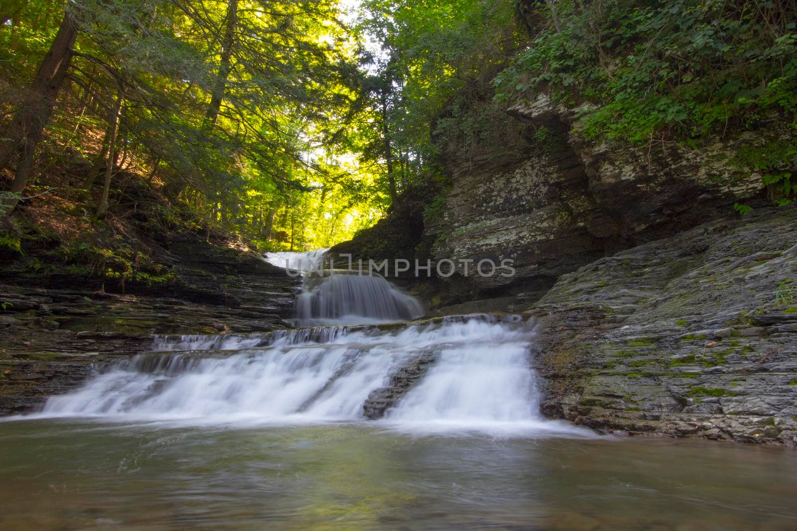 Robert E Treman State Park, New York