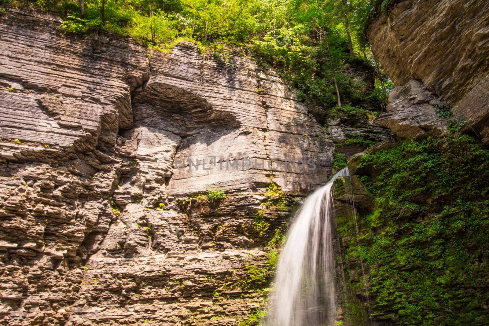 Havana Glen park, Montour Falls, New York