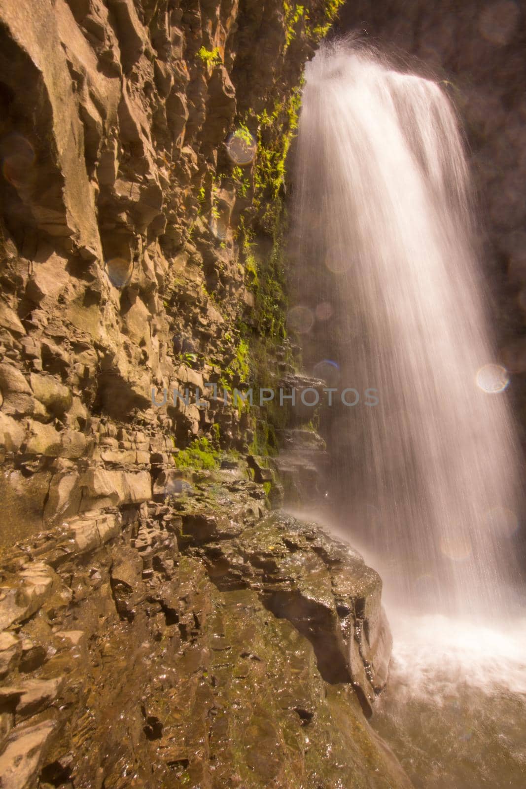 Havana Glen park, Montour Falls, New York