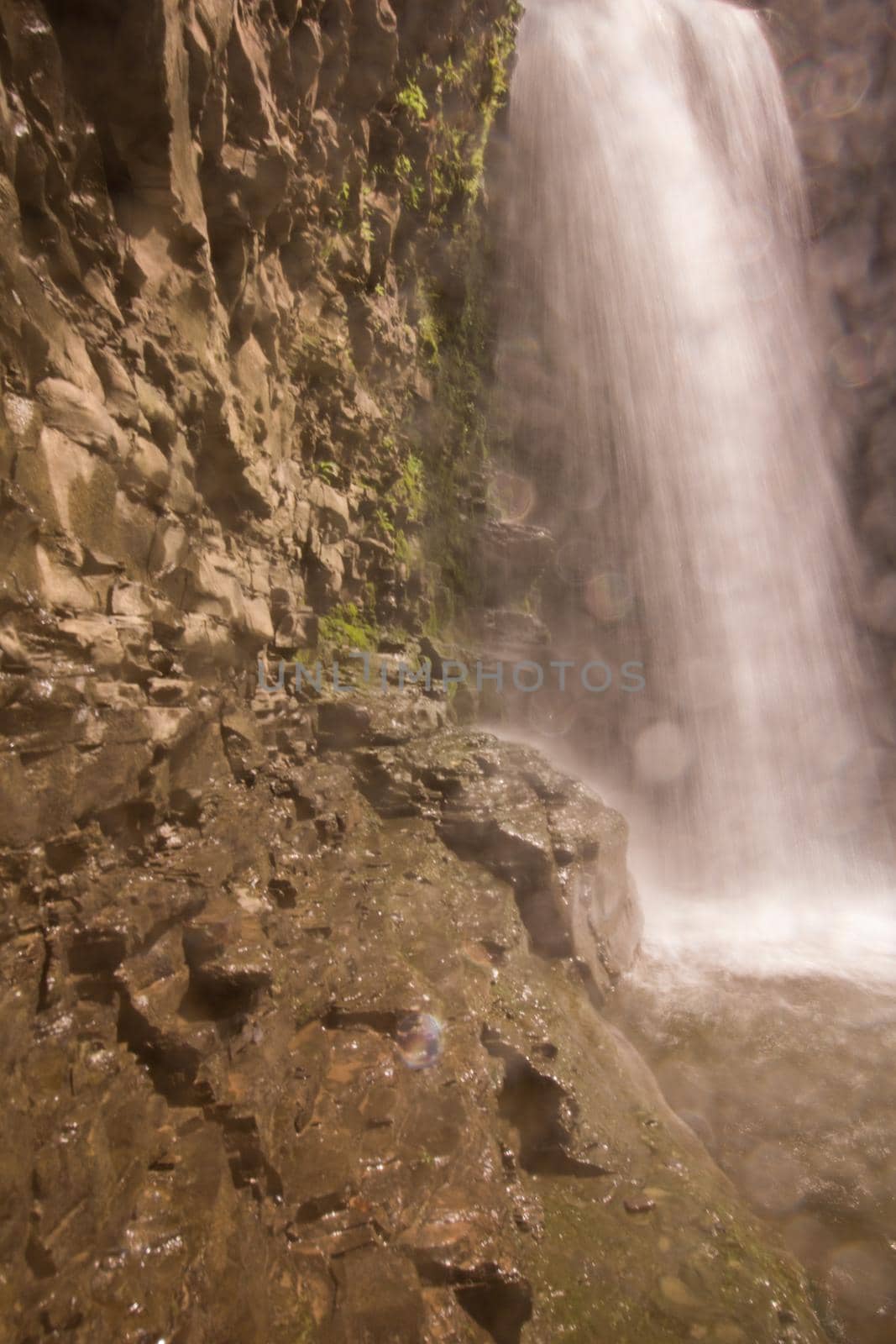 Havana Glen park, Montour Falls, New York