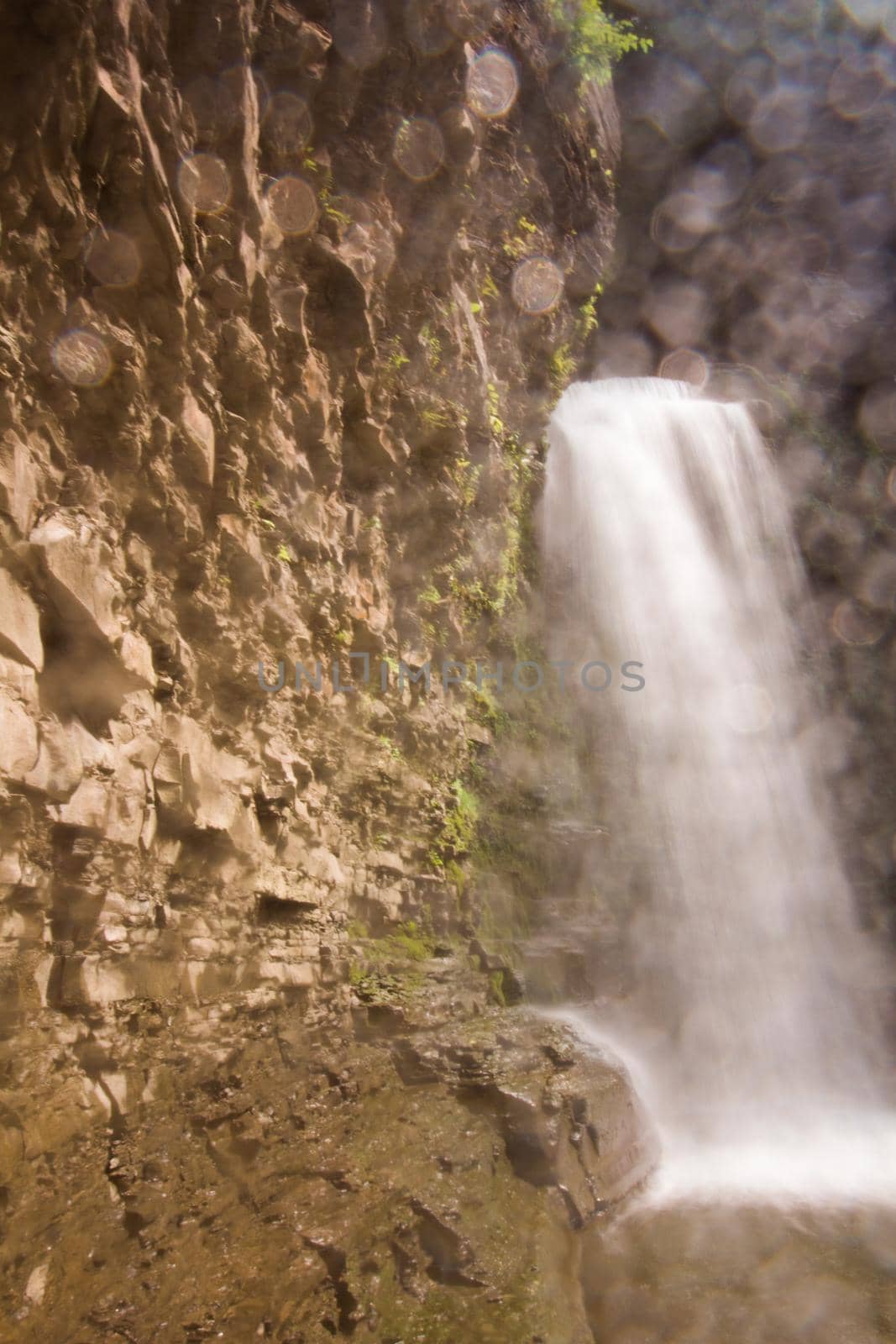 Havana Glen park, Montour Falls, New York