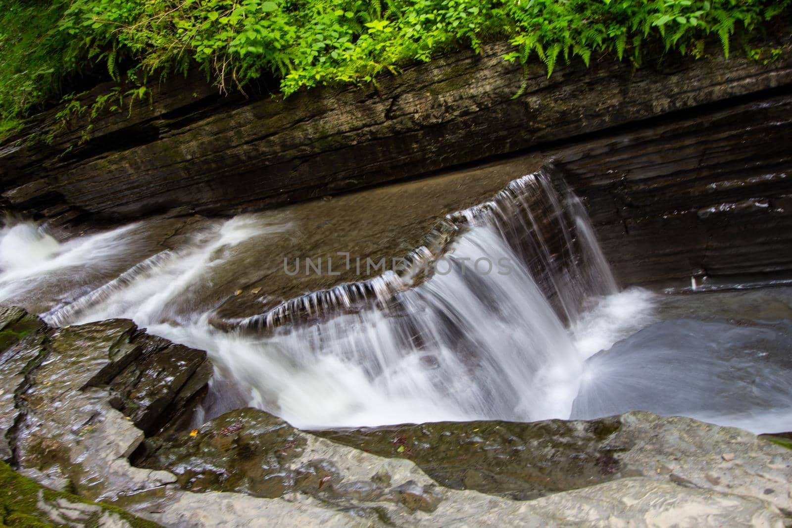 Havana Glen park, Montour Falls, New York