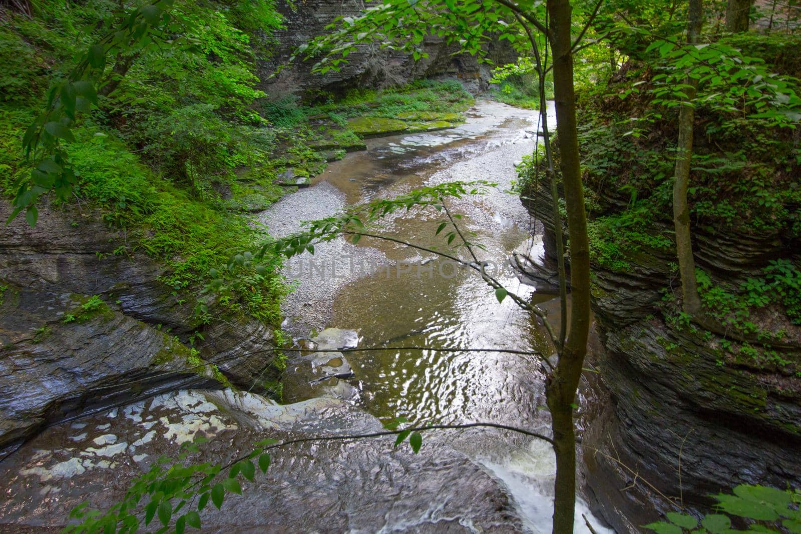 Havana Glen park, Montour Falls, New York
