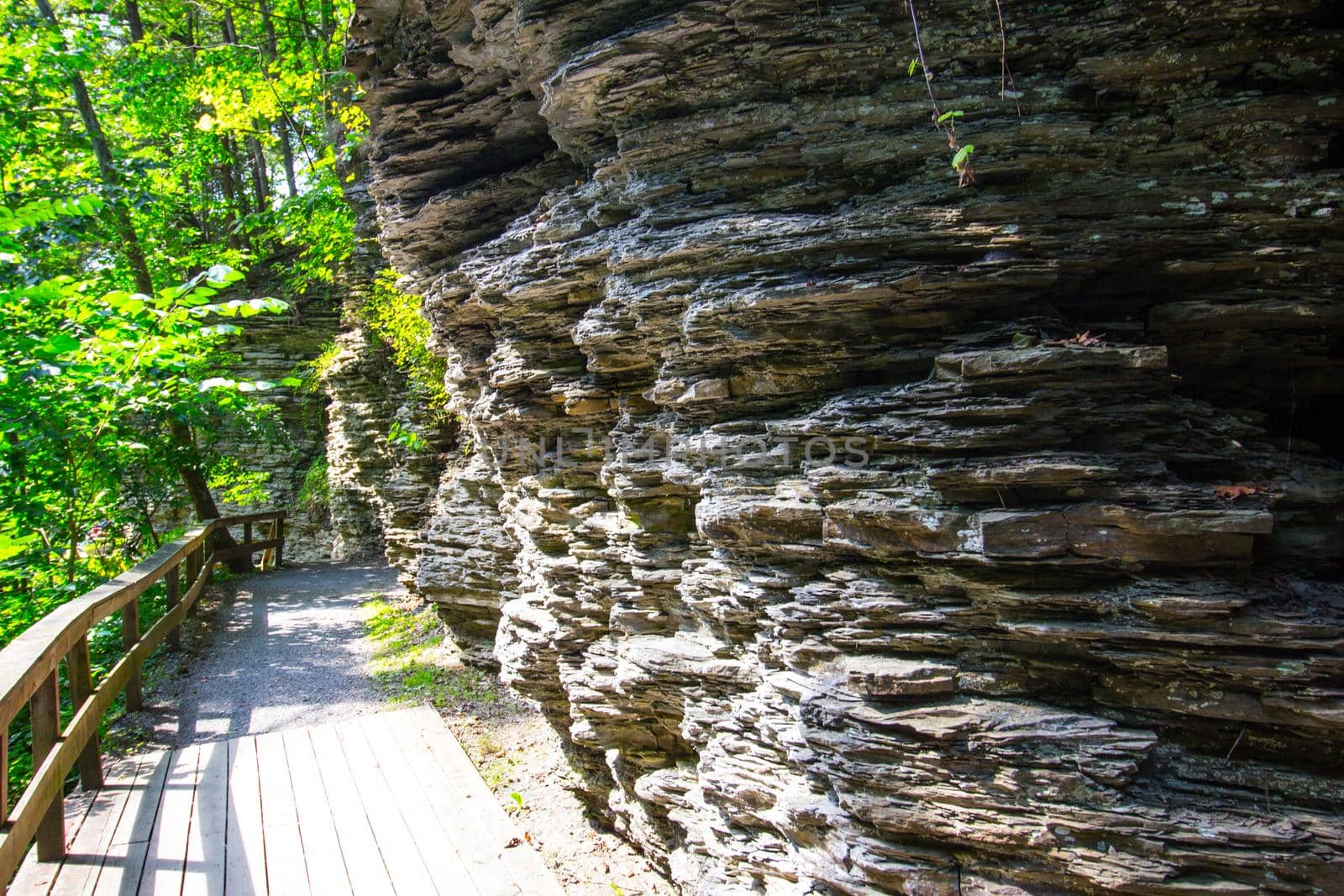 Havana Glen park, Montour Falls, New York
