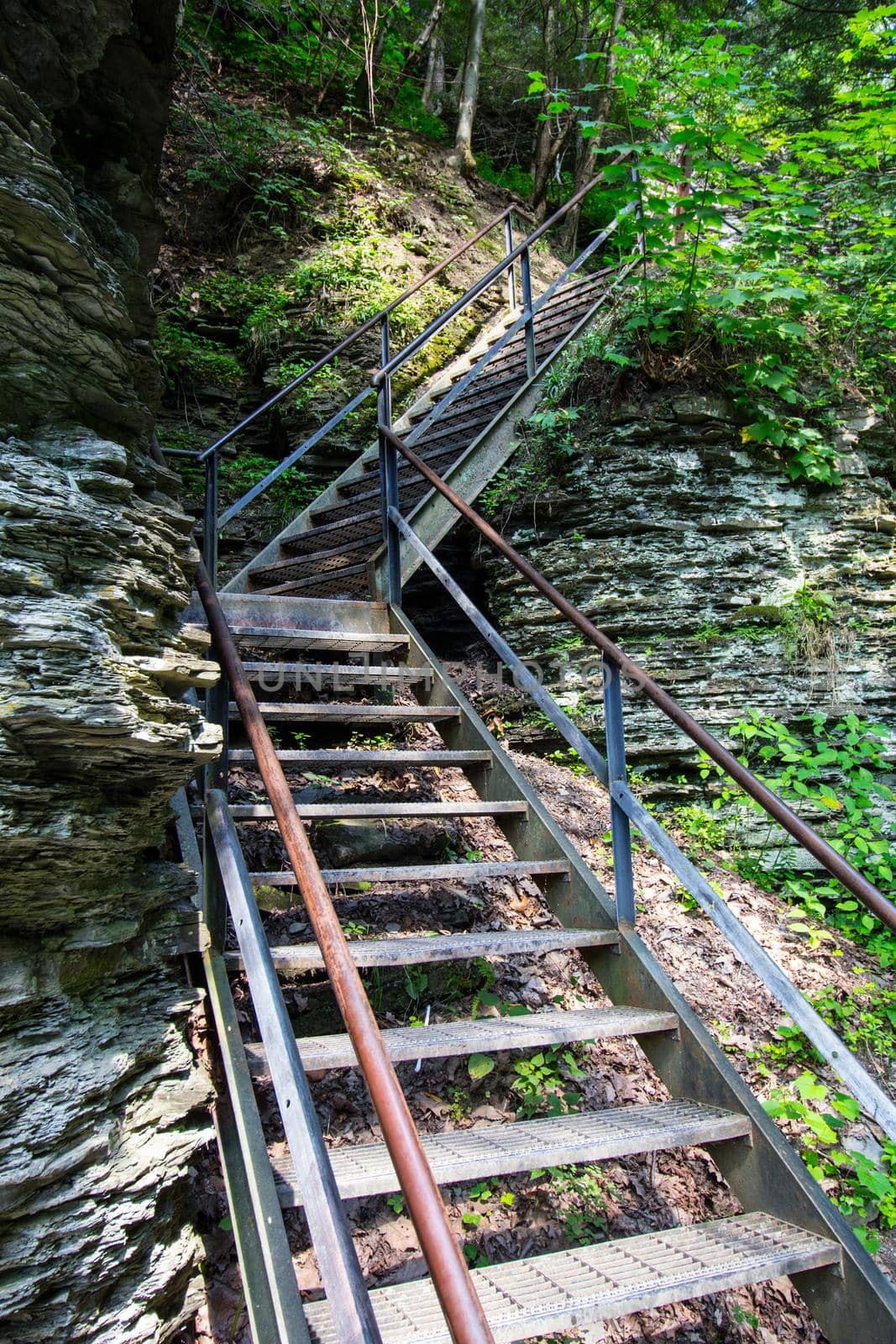 Havana Glen park, Montour Falls, New York