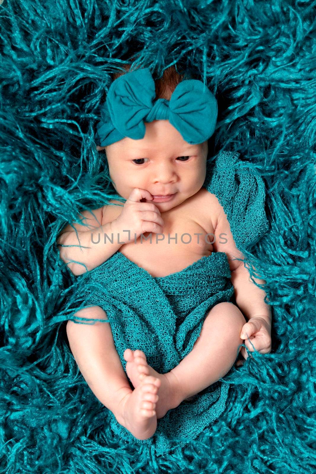 Newborn baby 2 weeks old in blue fluffy blanket. Portrait of pretty newborn baby.