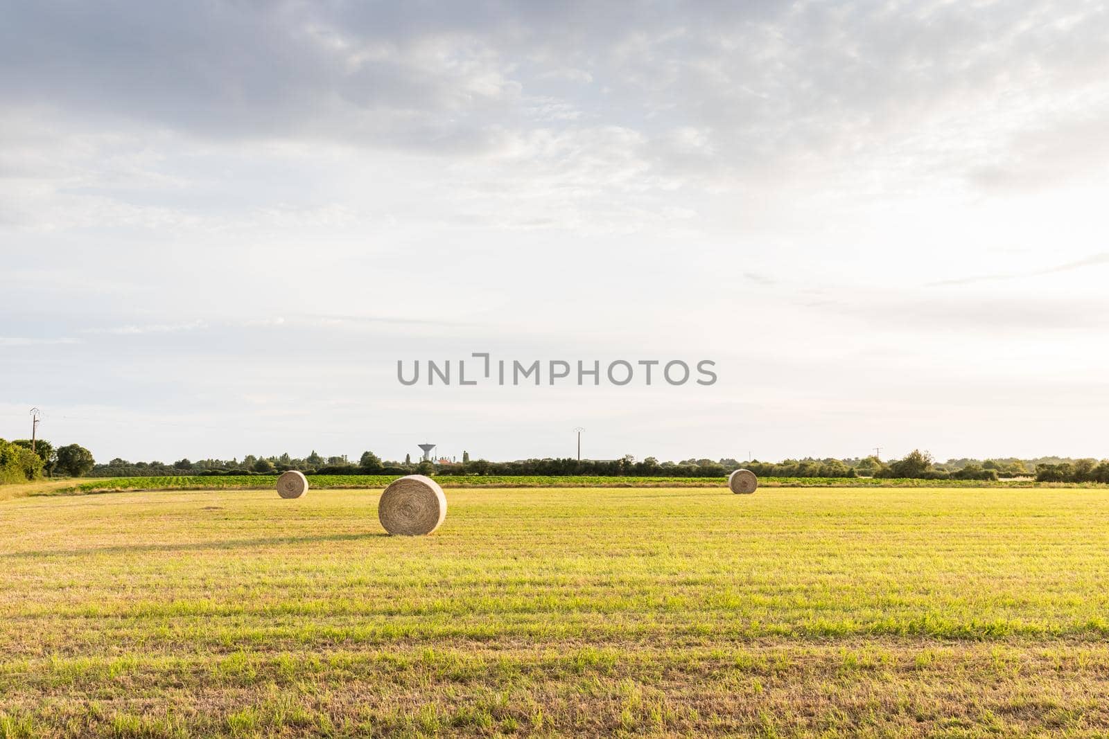 hay bale in a meadow next to a ripe sunflower field by AtlanticEUROSTOXX