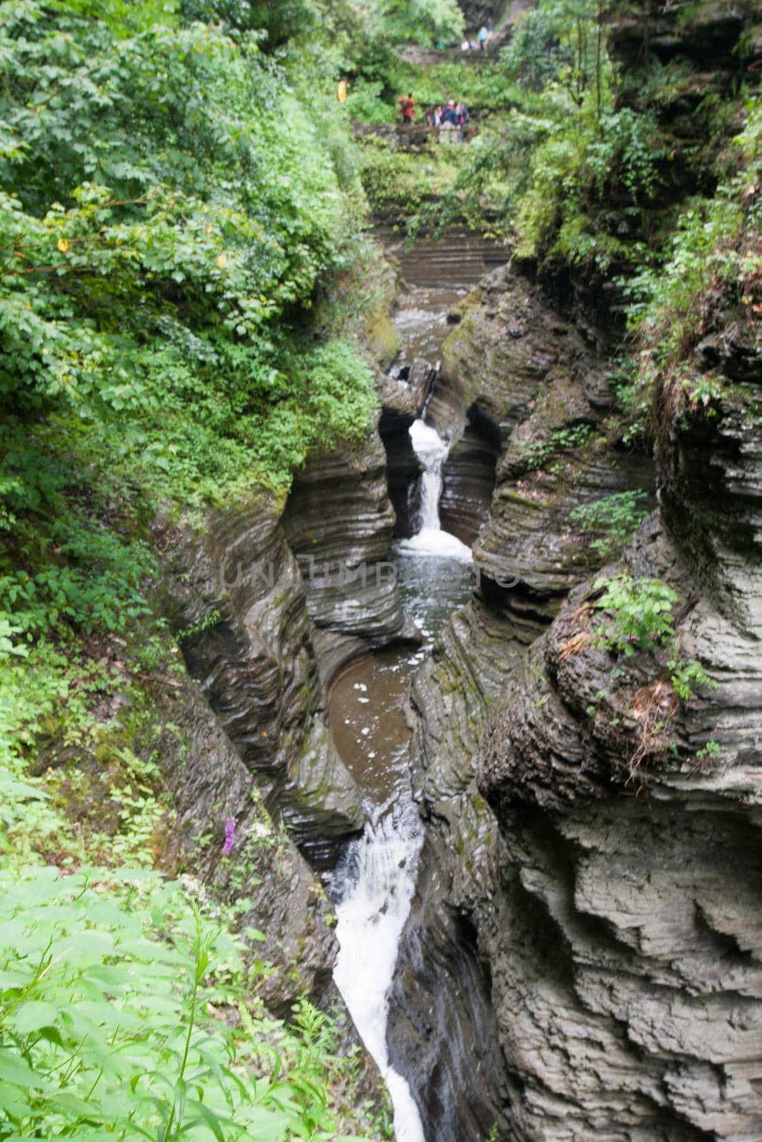 Watkins Glen State Park
