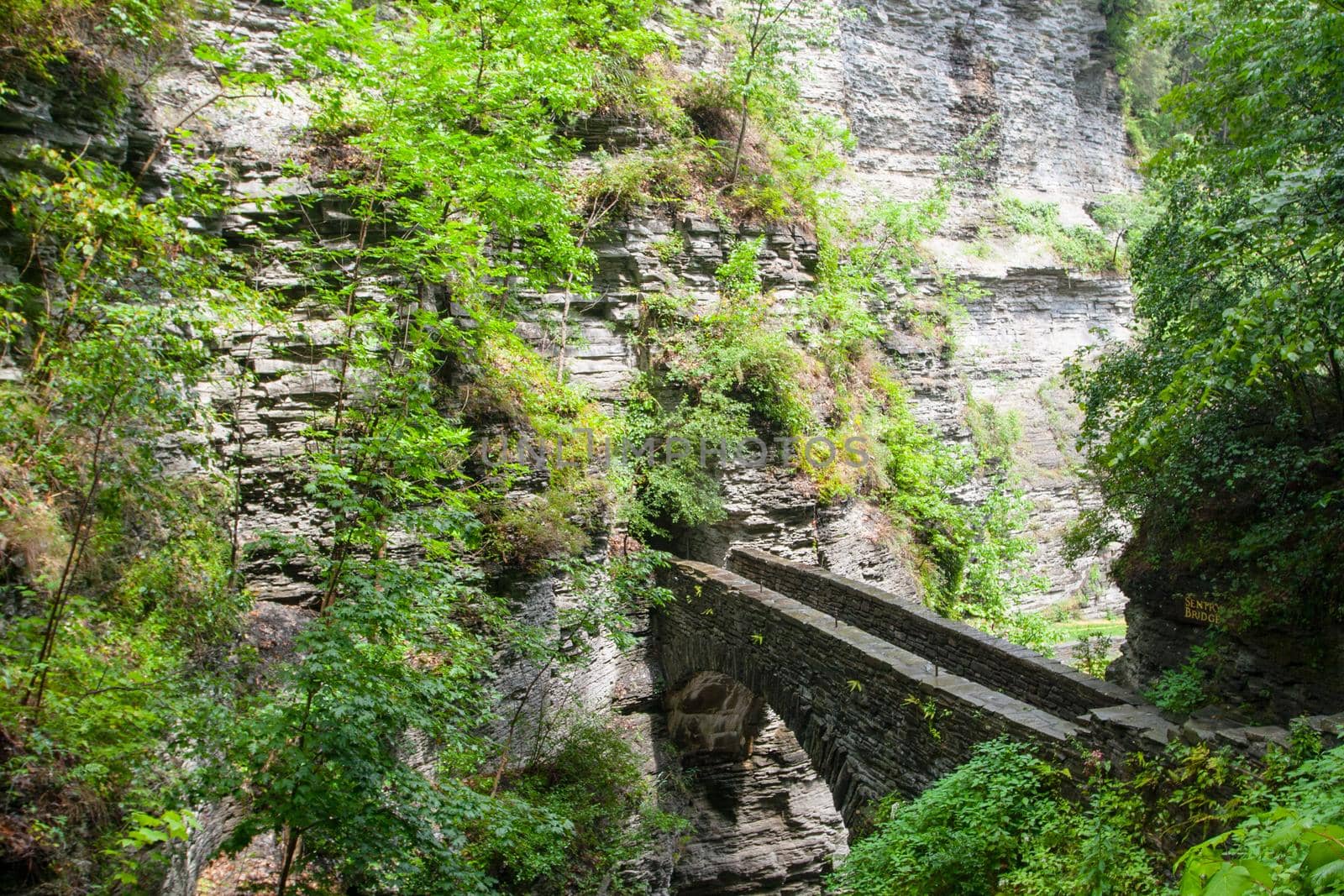 Watkins Glen State Park