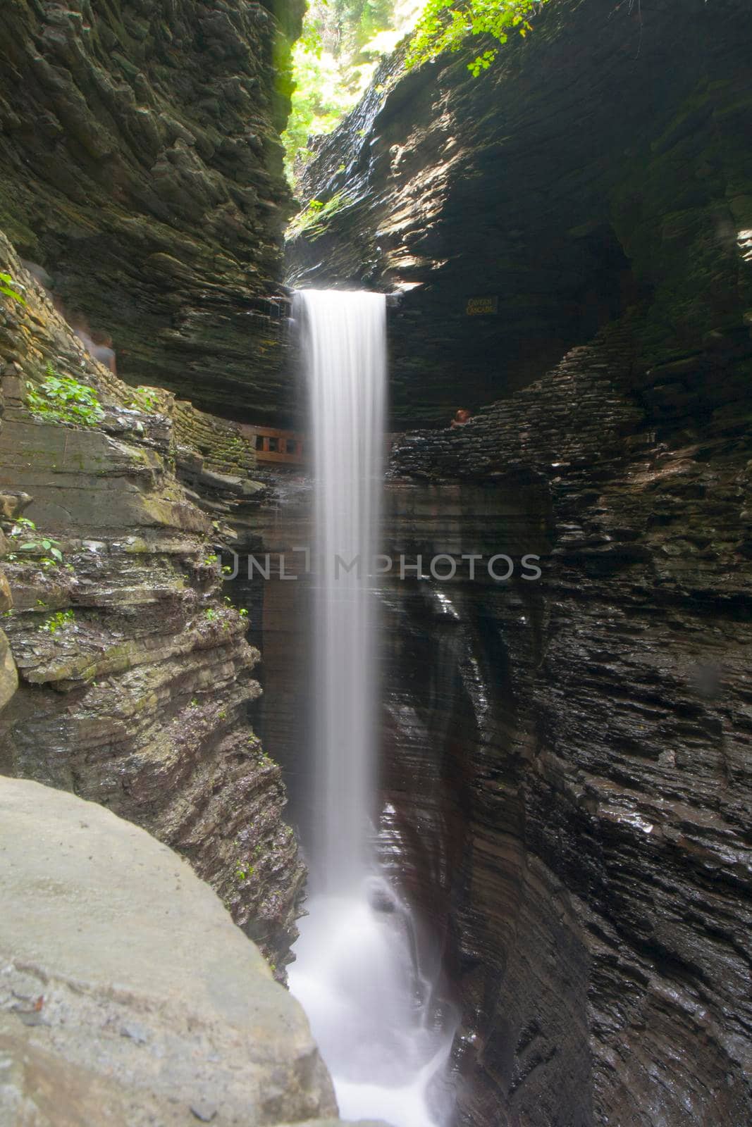 Watkins Glen State Park