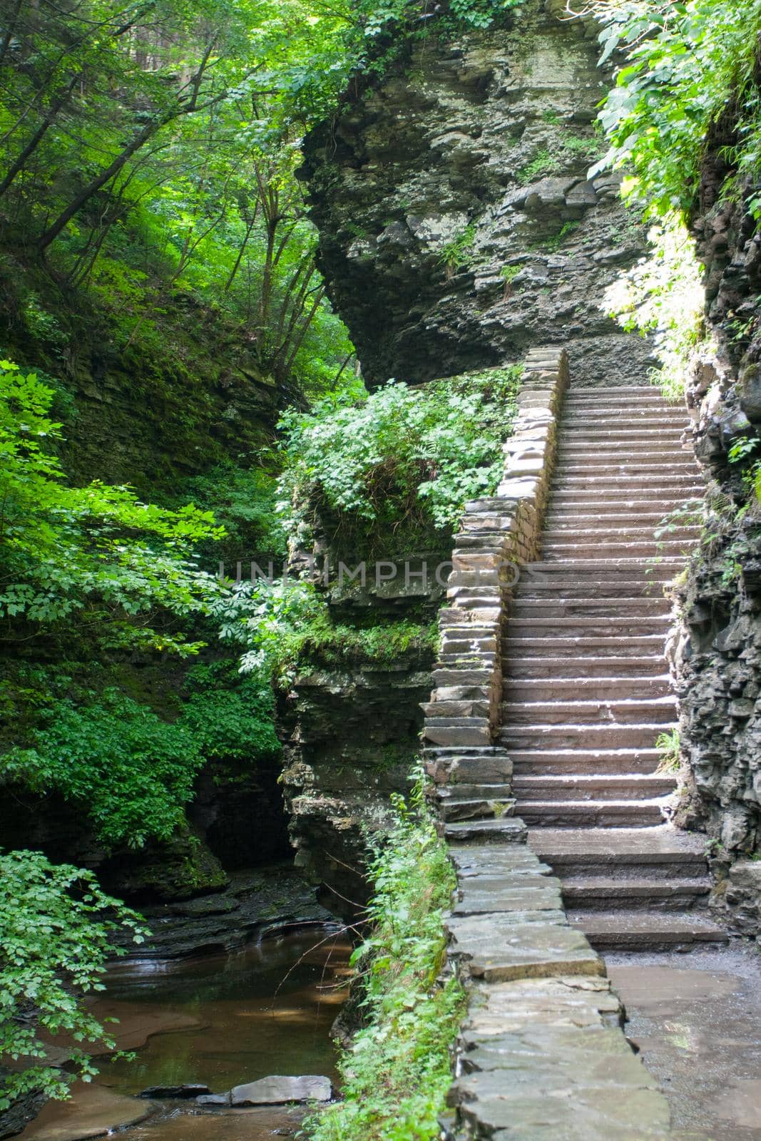 Watkins Glen State Park