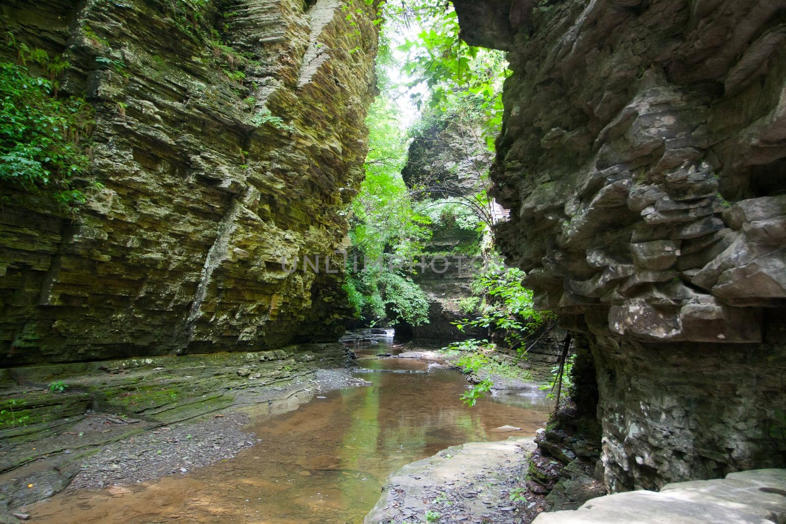 Watkins Glen State Park