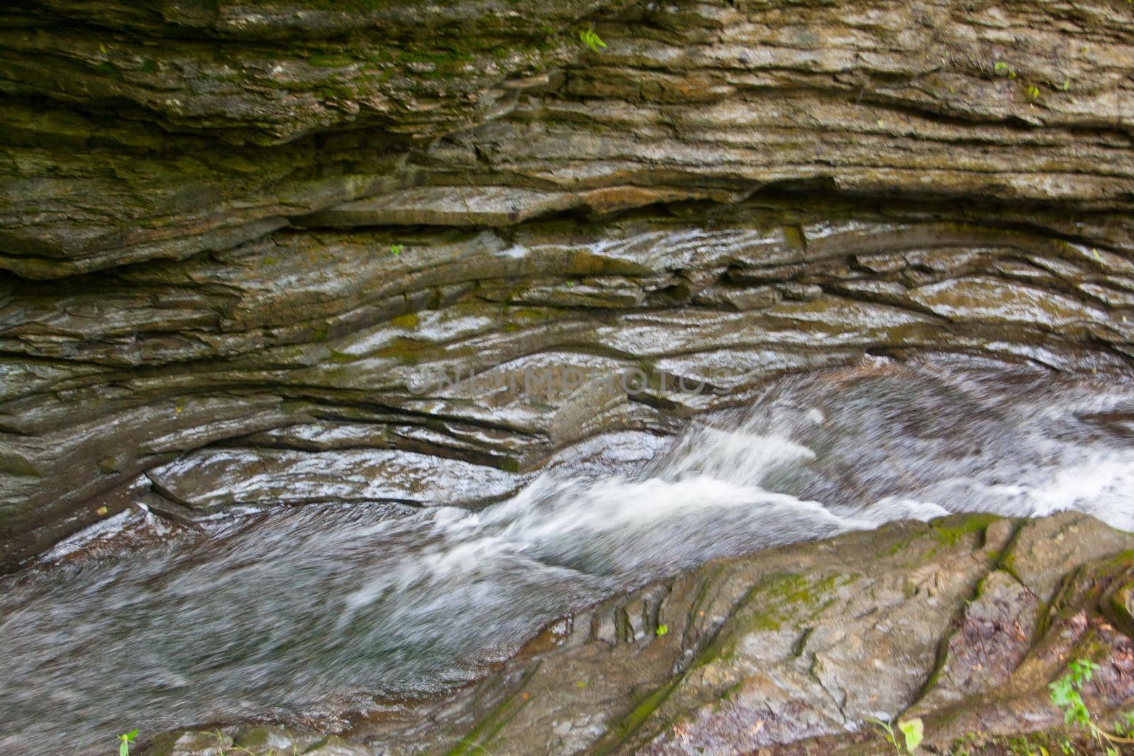Watkins Glen State Park