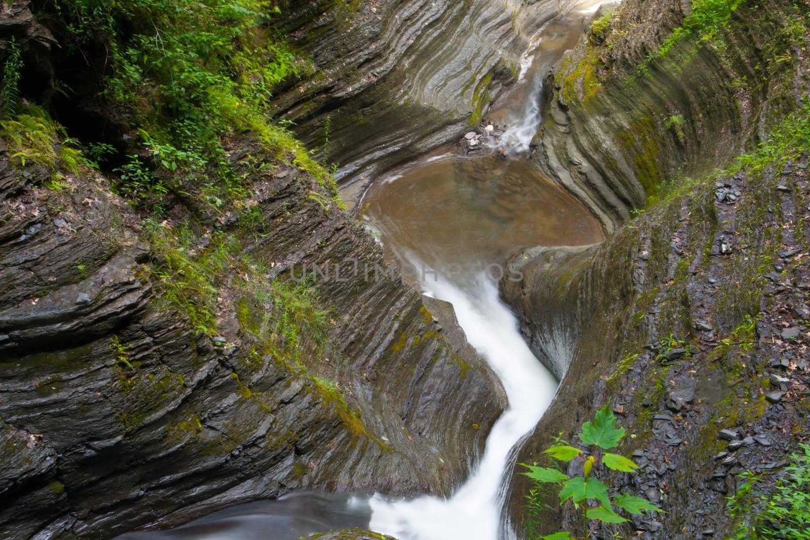 Watkins Glen State Park