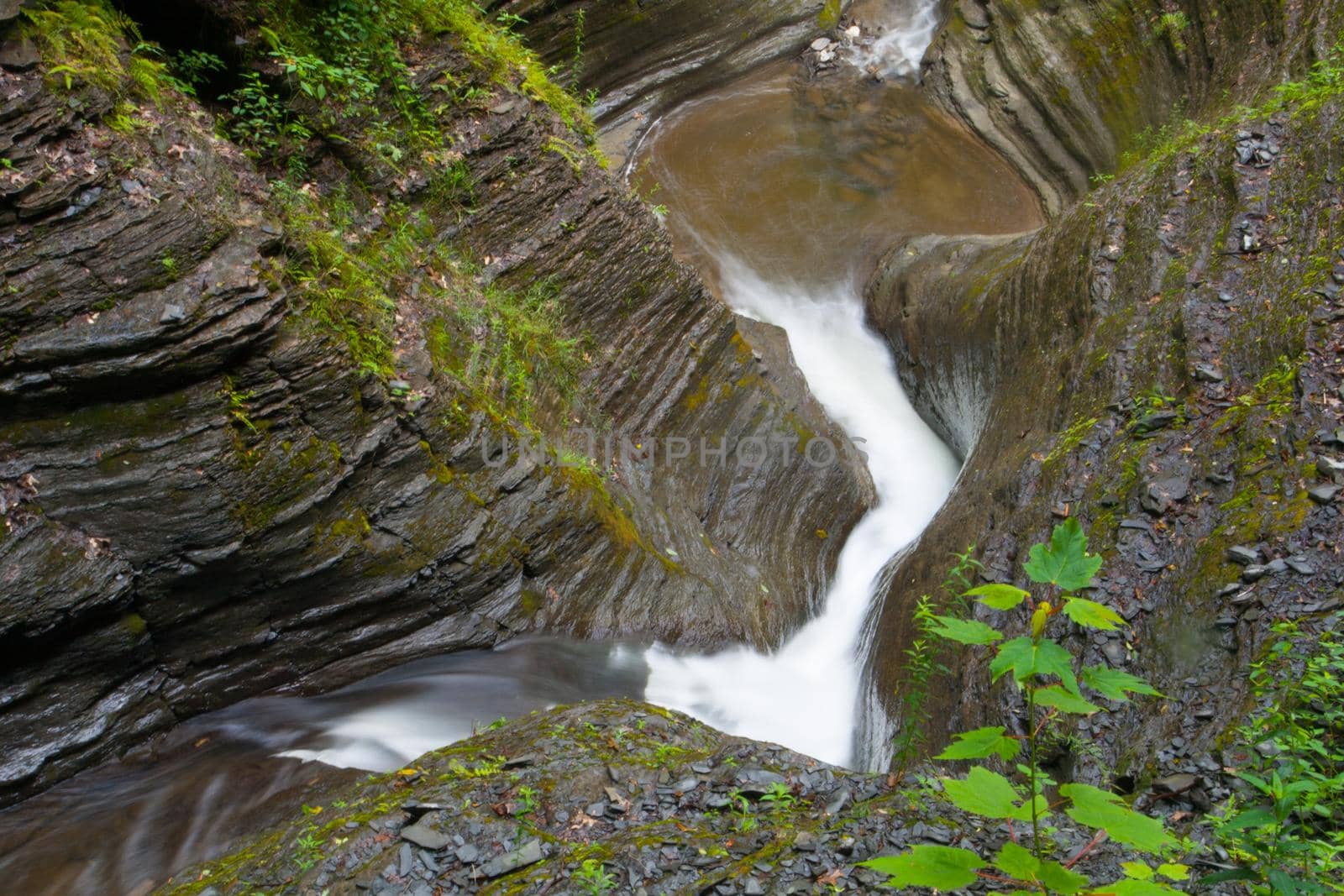 Watkins Glen State Park