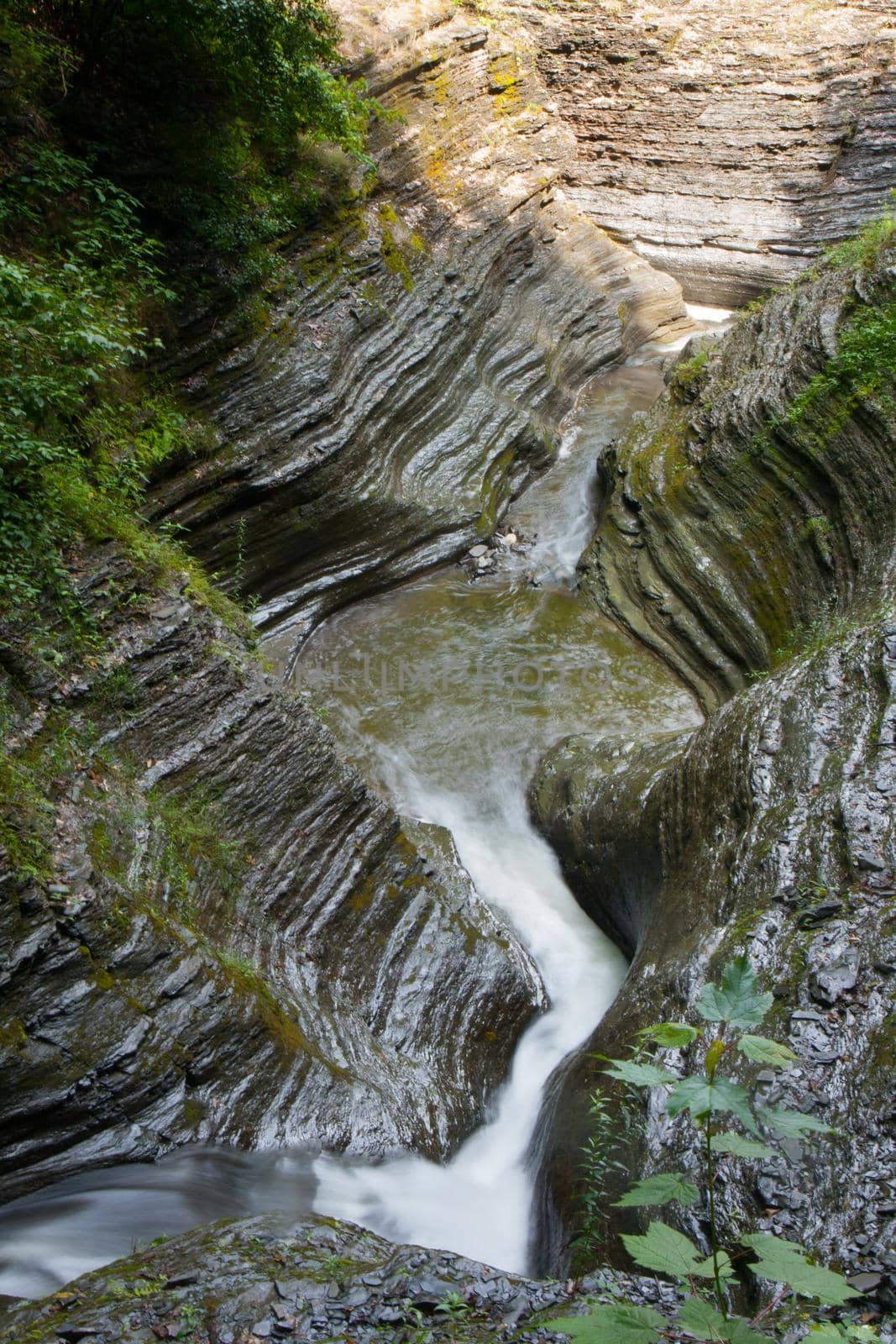 Watkins Glen State Park