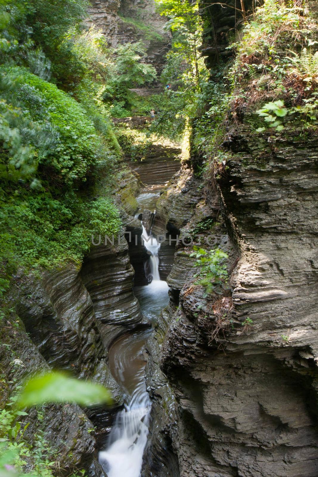 Watkins Glen State Park