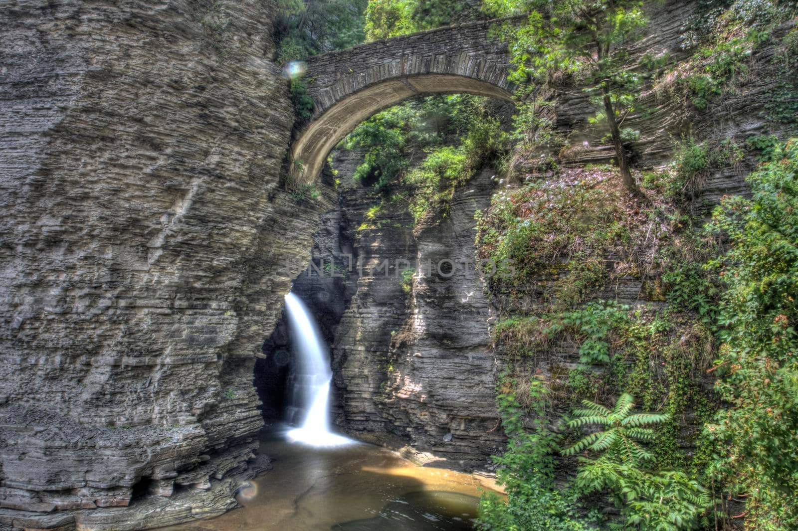 Watkins Glen State Park