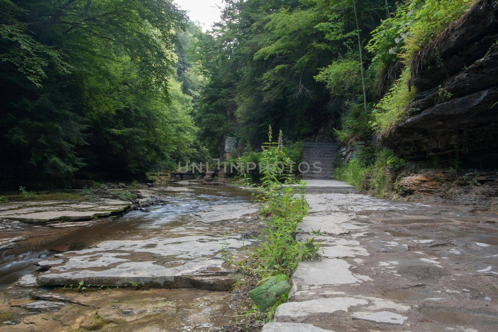Watkins Glen State Park