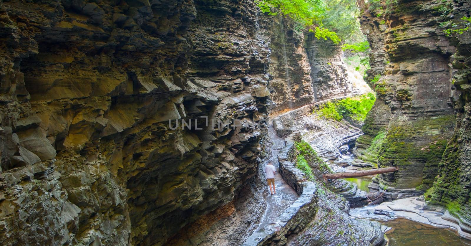 Watkins Glen State Park