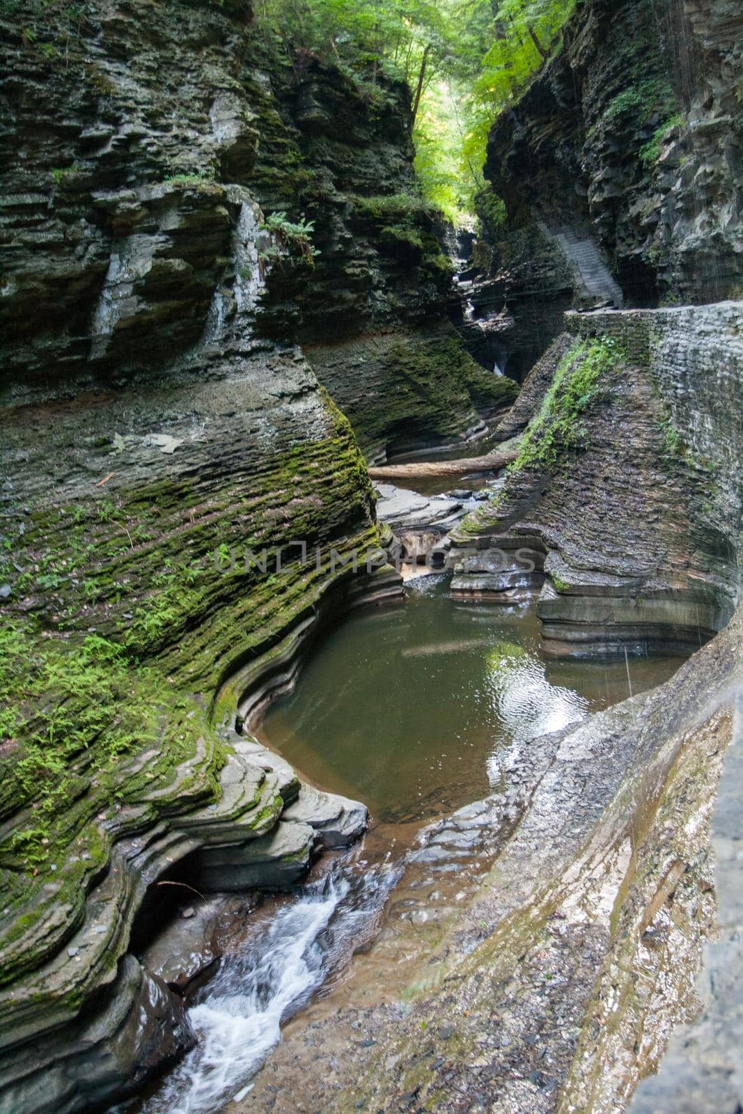 Watkins Glen State Park
