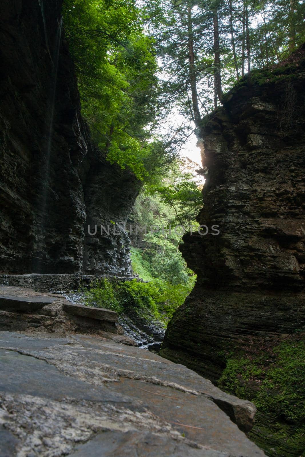 Watkins Glen State Park
