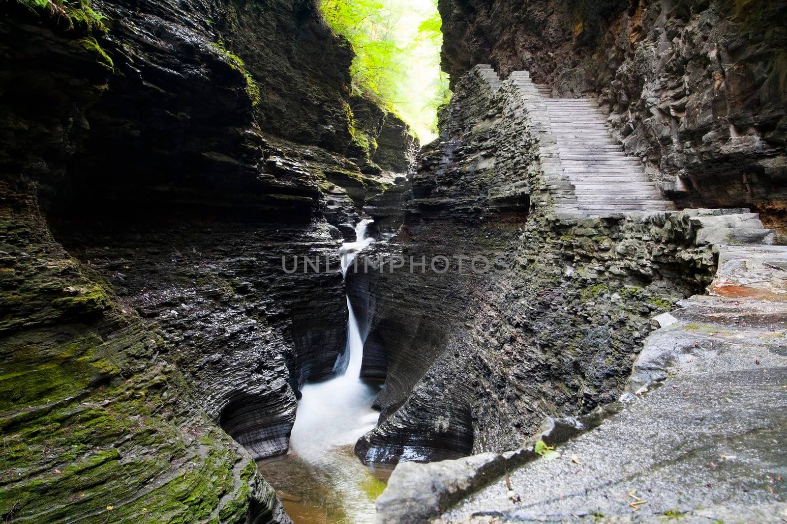 Watkins Glen State Park