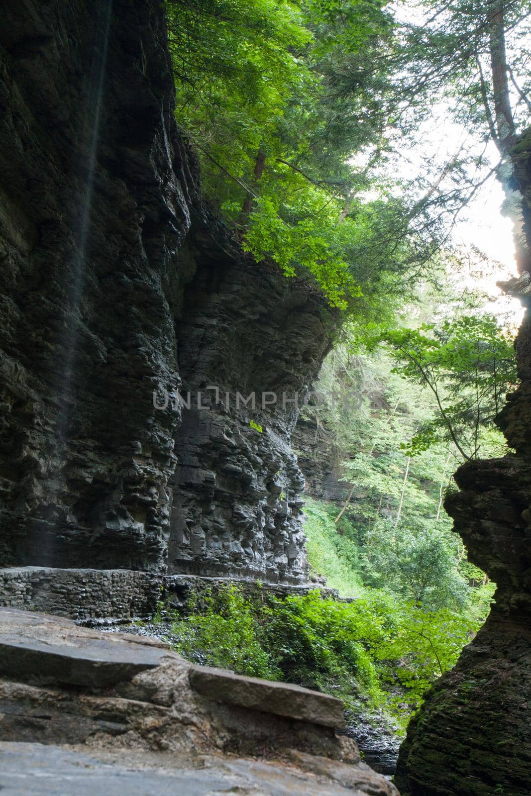 Watkins Glen State Park