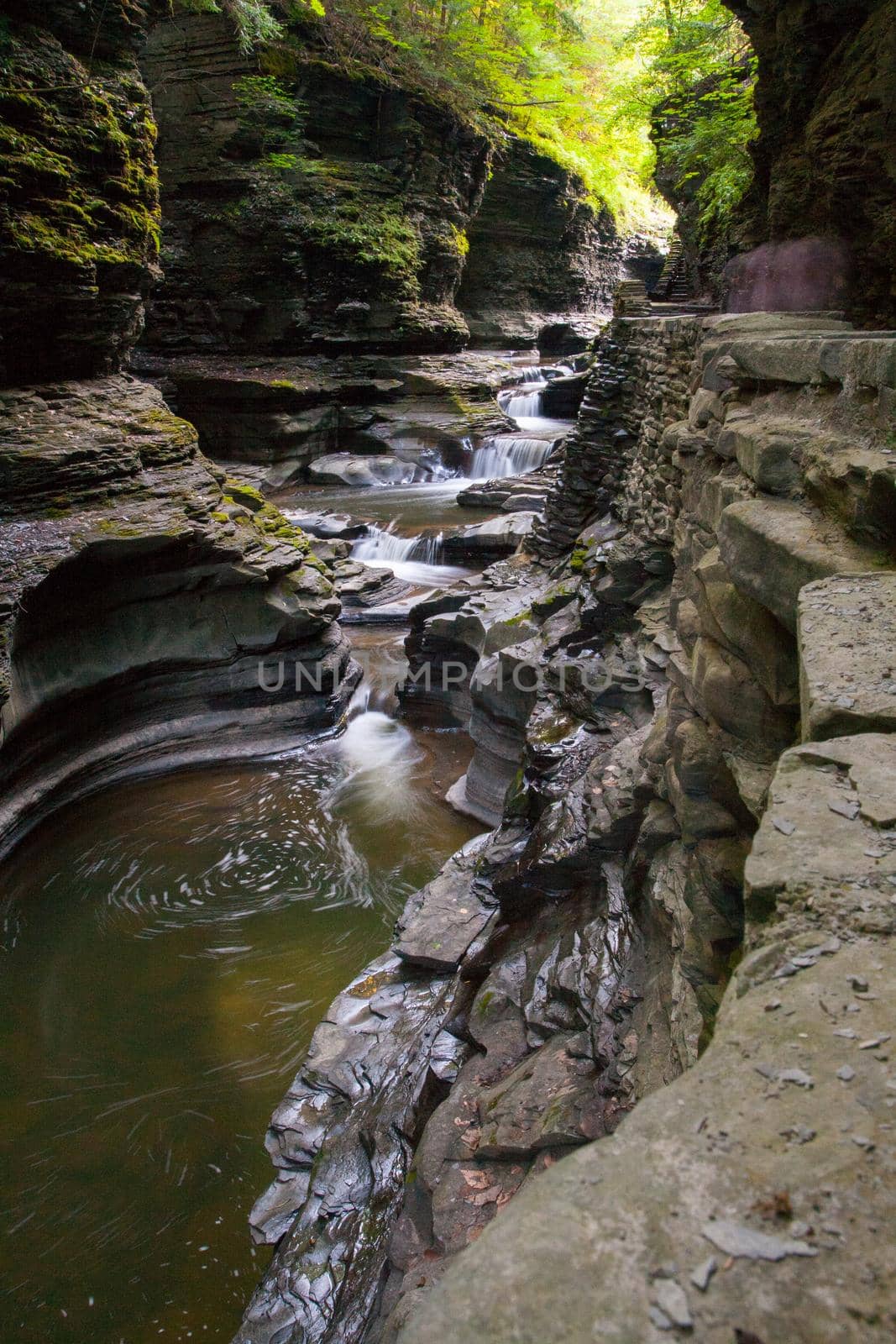 Watkins Glen State Park