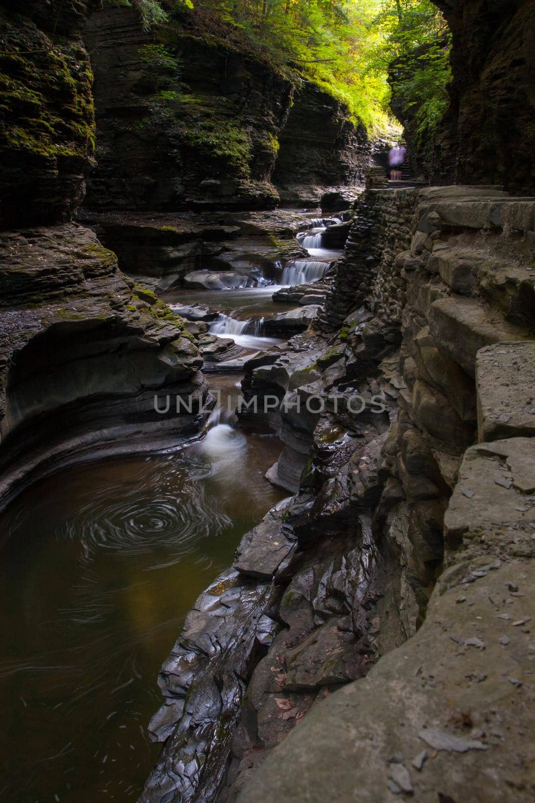 Watkins Glen State Park