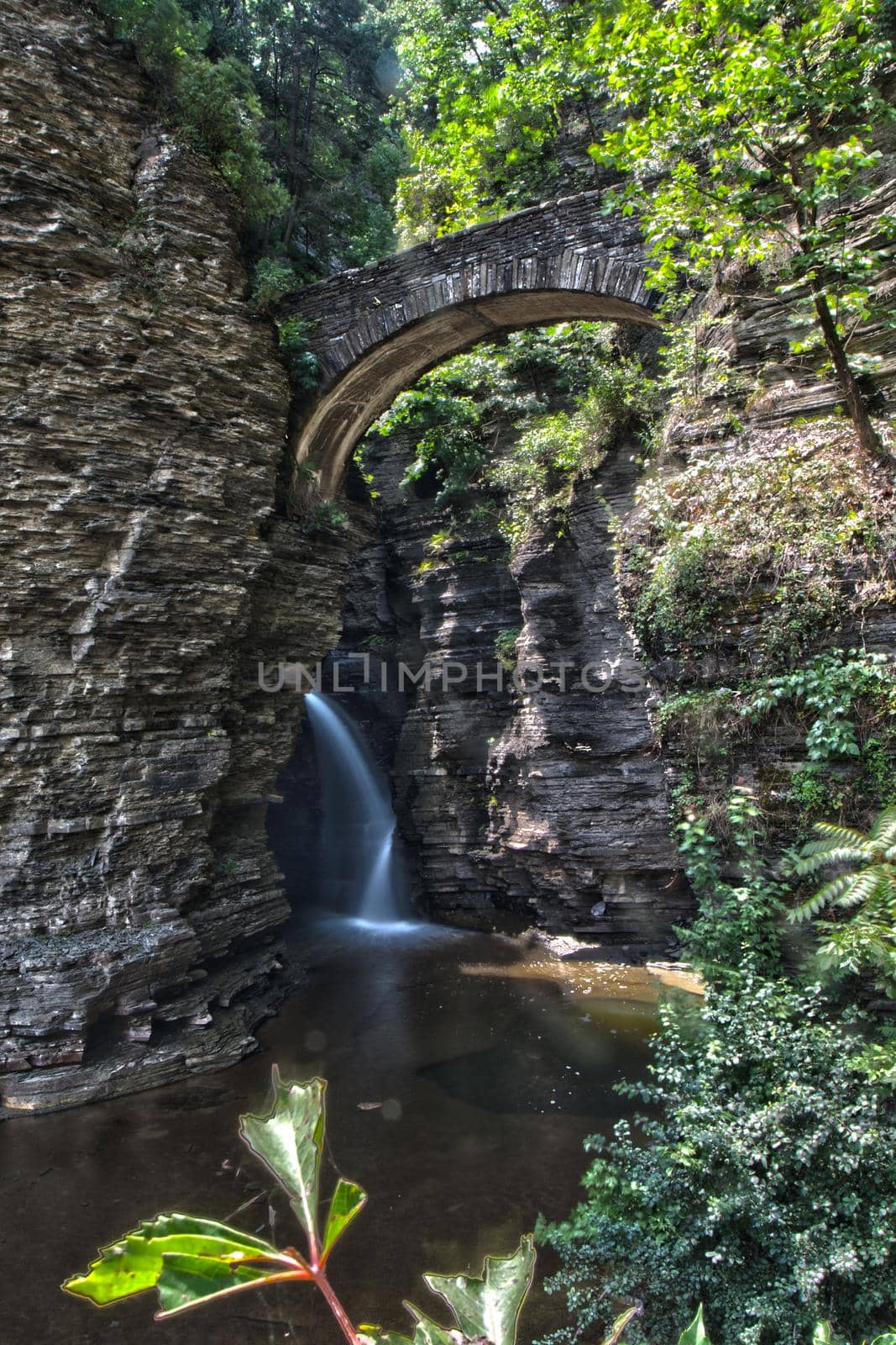 Watkins Glen State Park