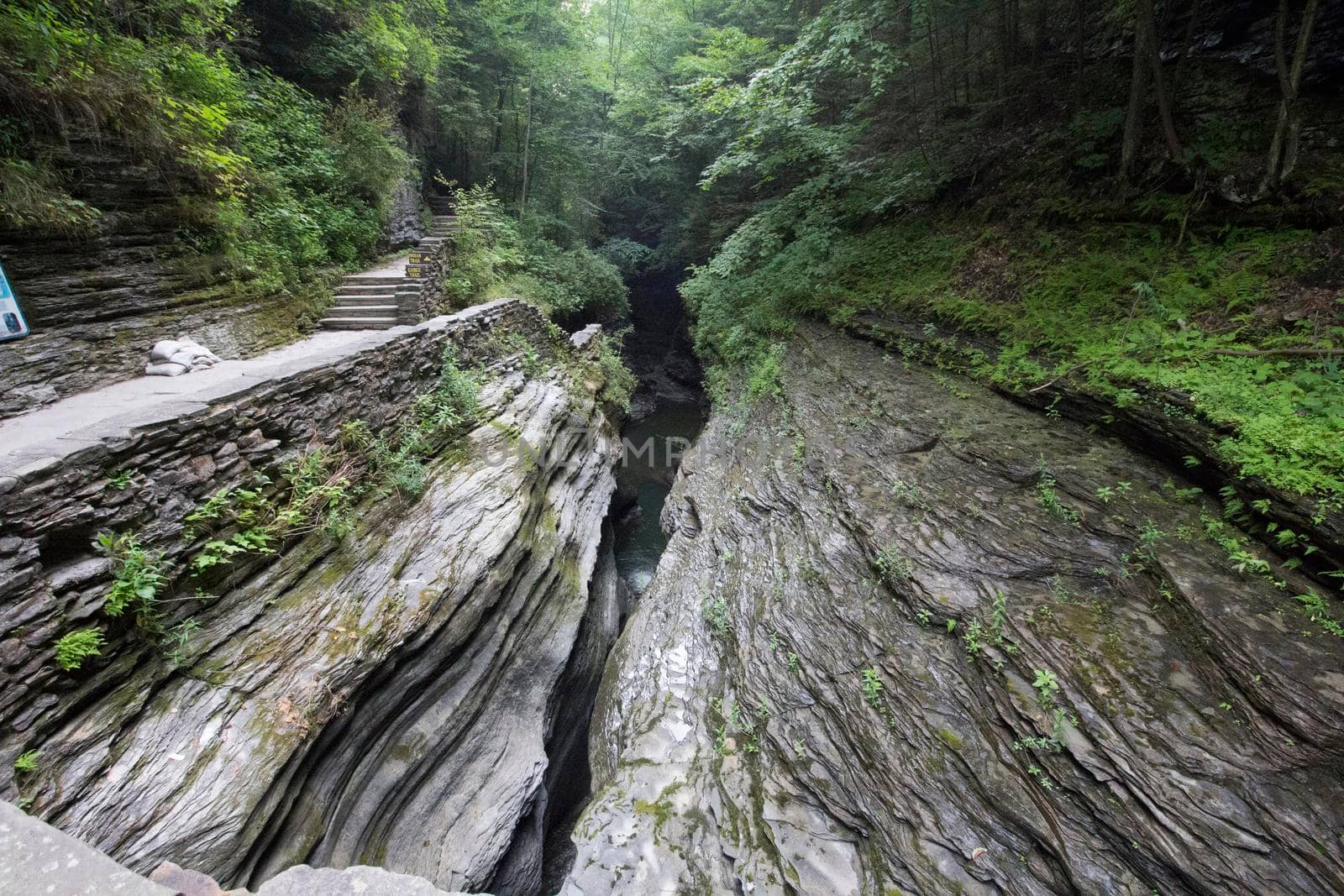Watkins Glen State Park