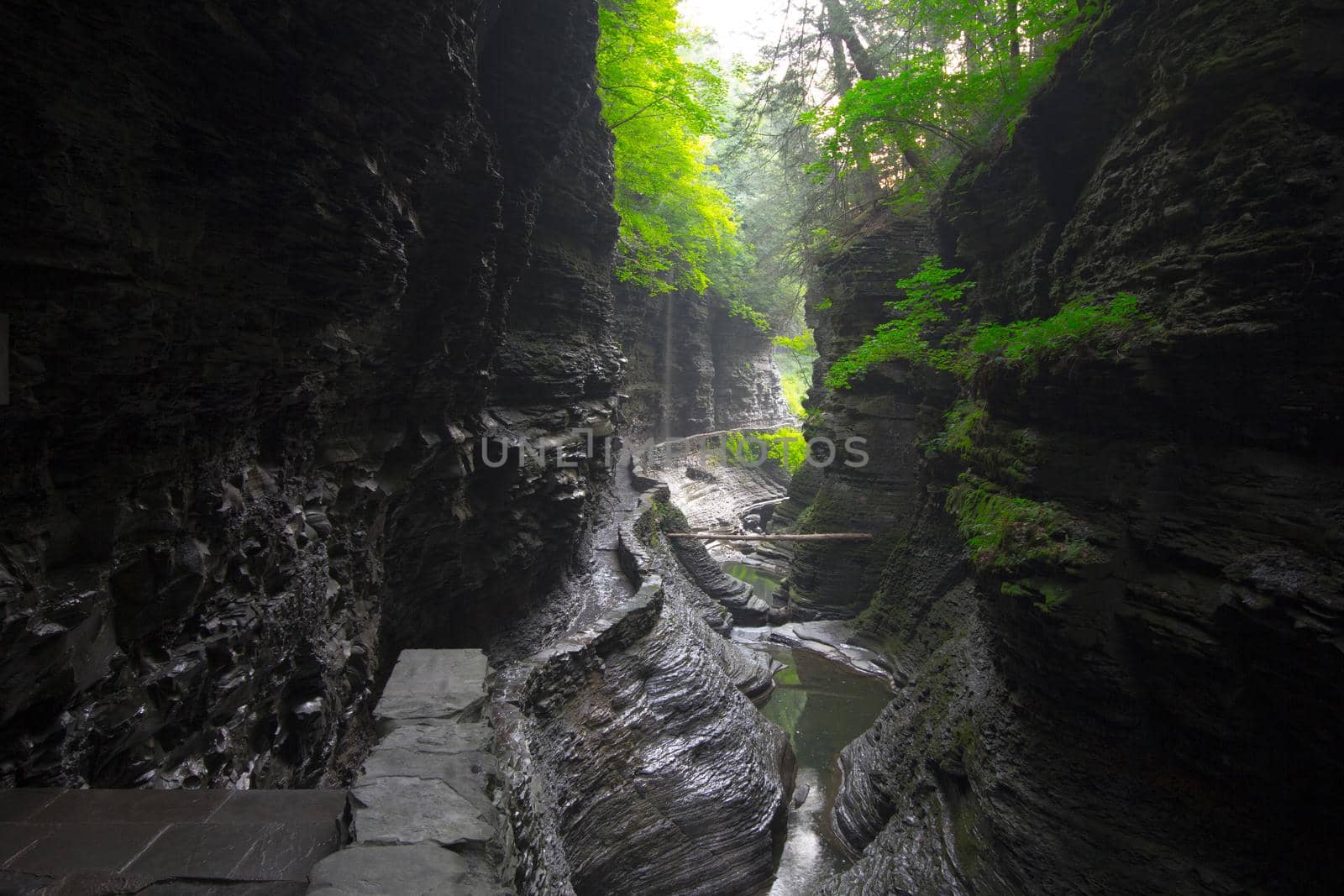 Watkins Glen State Park