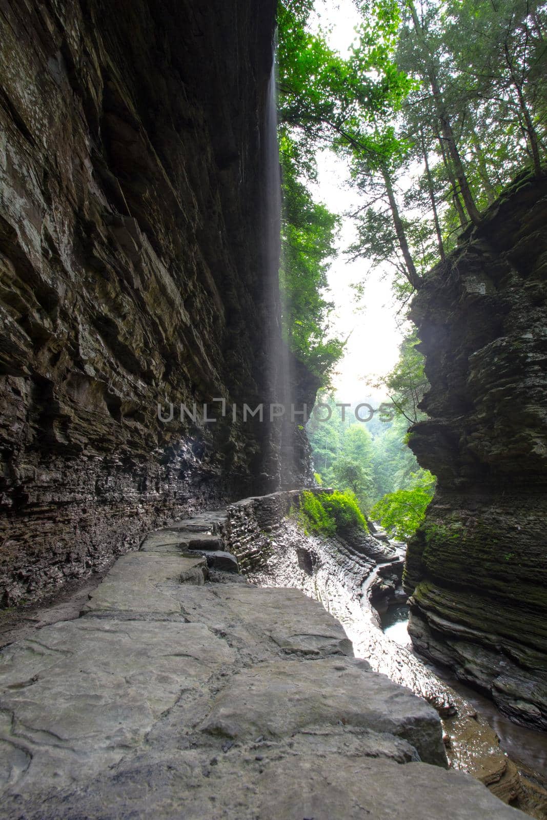 Watkins Glen State Park