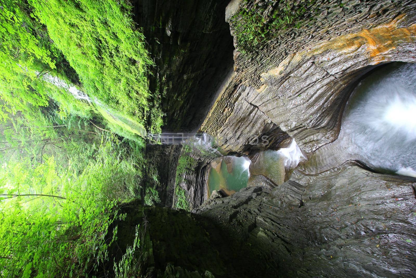 Watkins Glen State Park