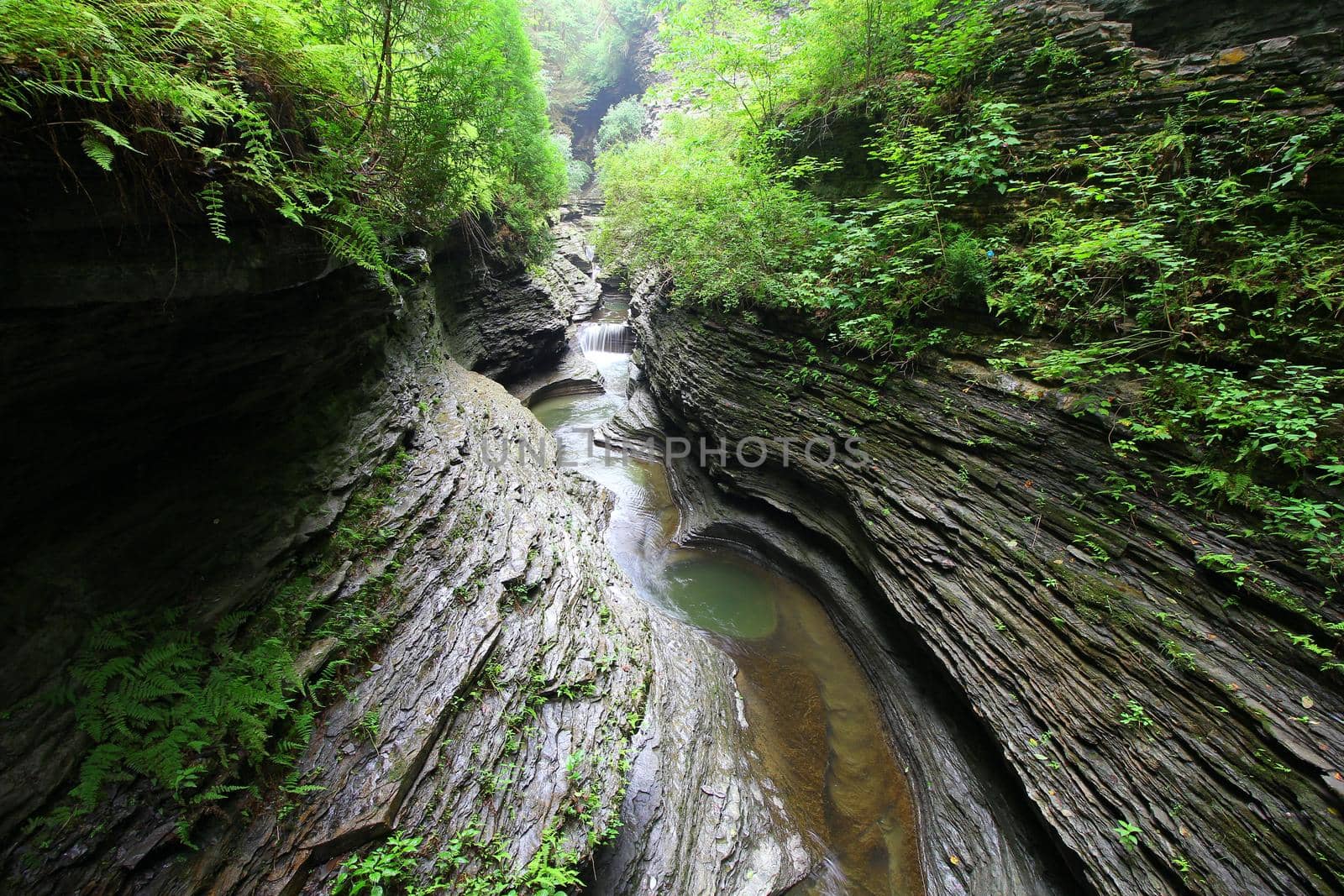 Watkins Glen State Park