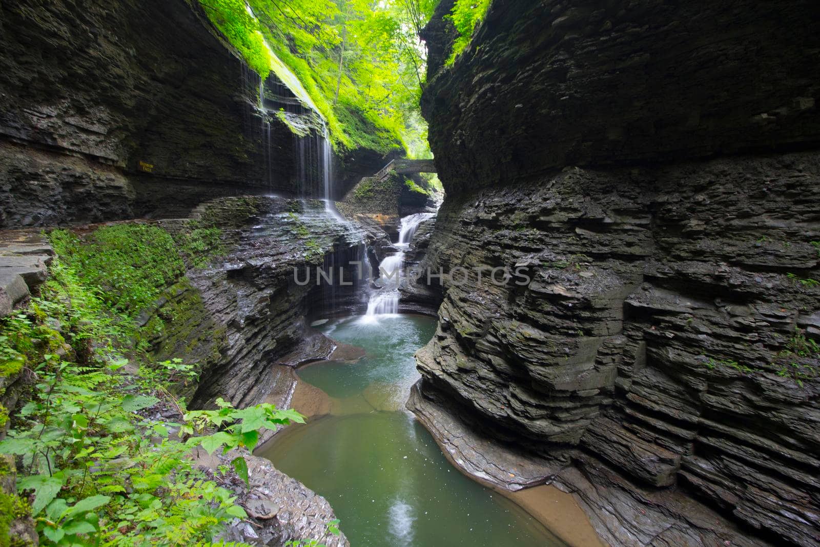 Watkins Glen State Park