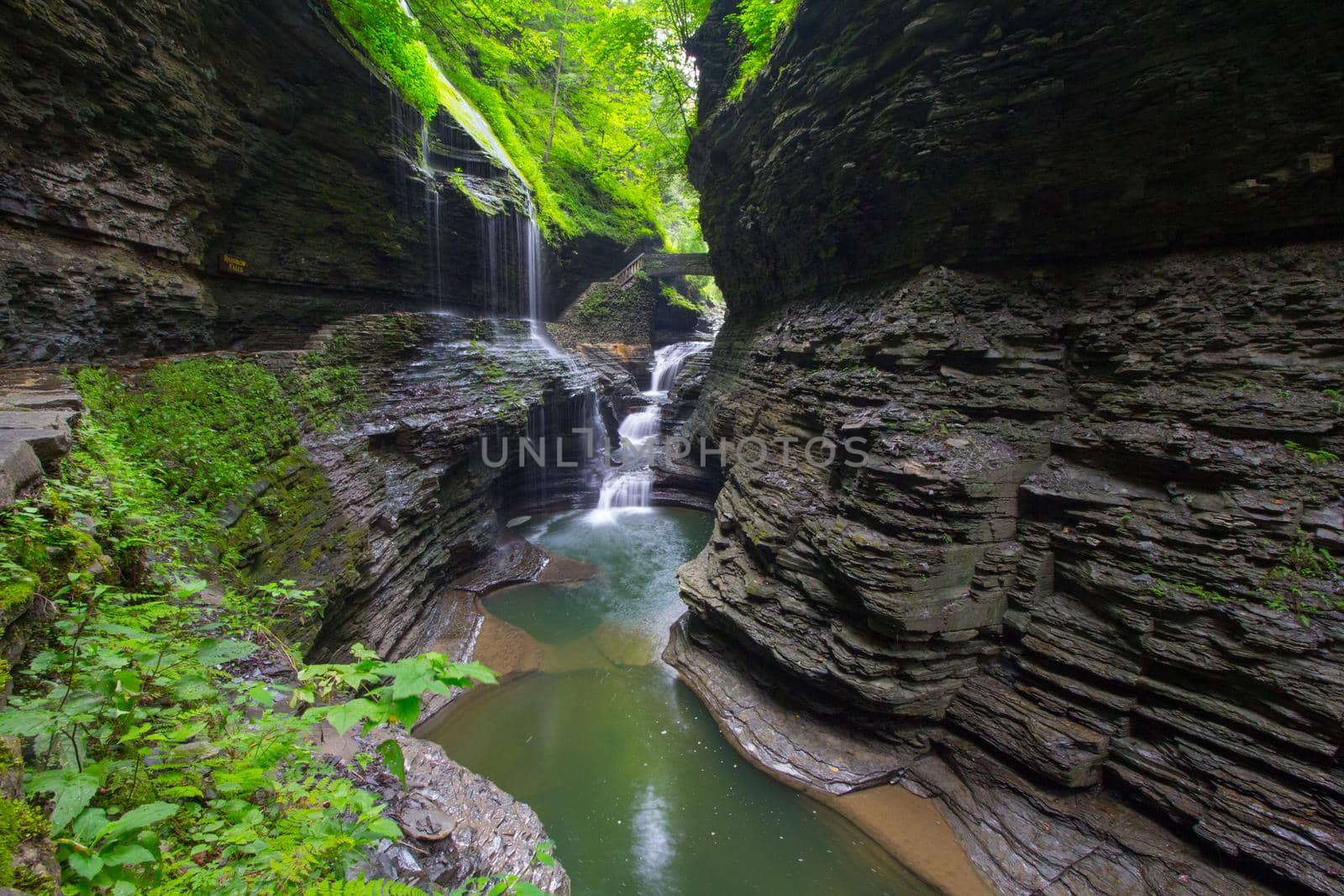 Watkins Glen State Park