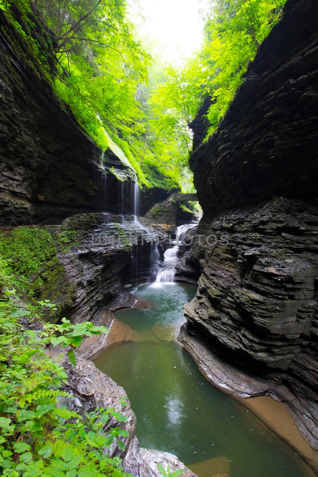 Watkins Glen State Park