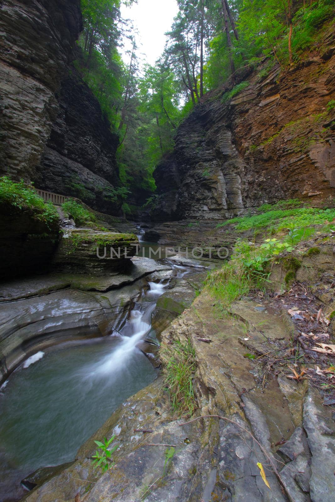 Watkins Glen State Park