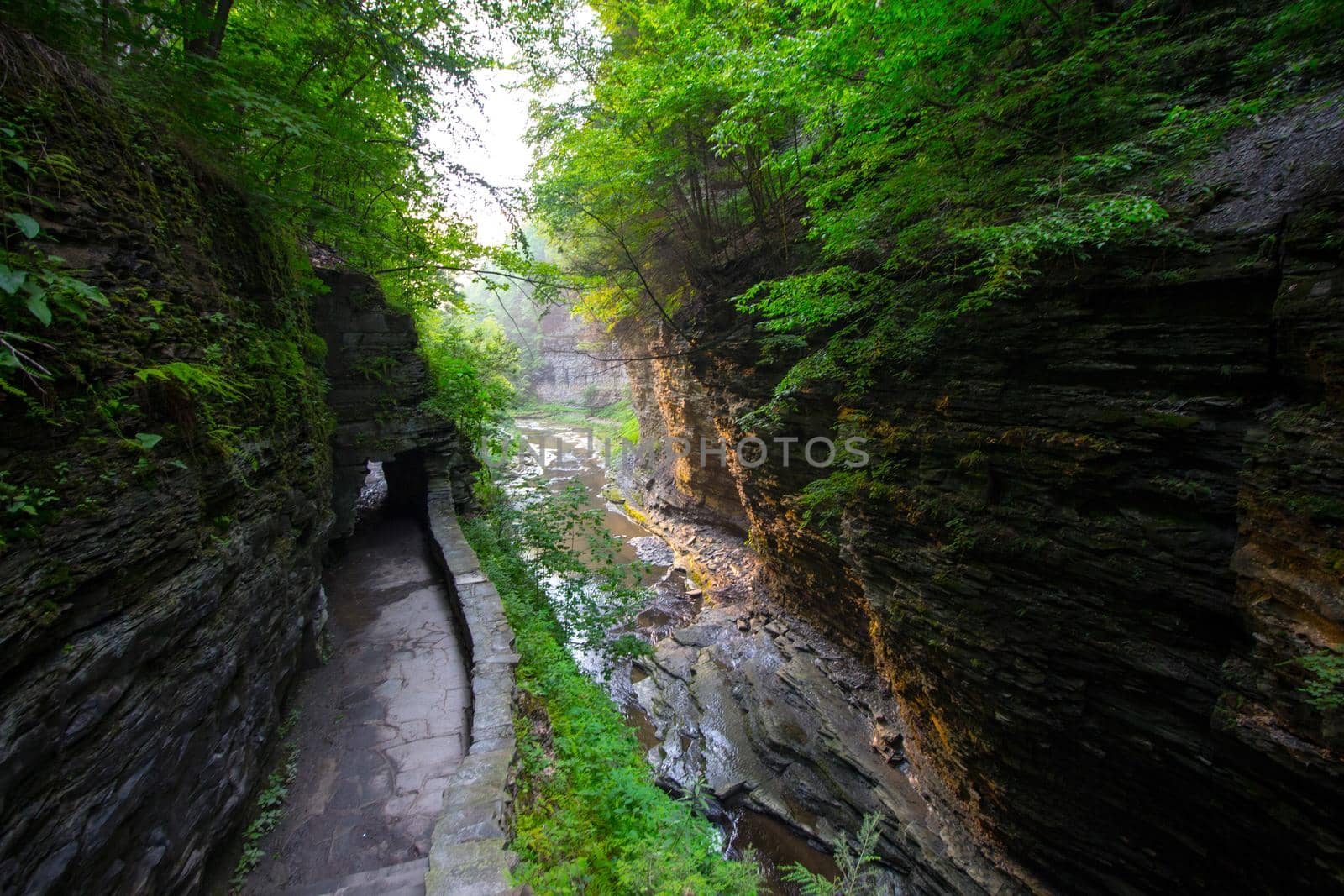 Watkins Glen State Park
