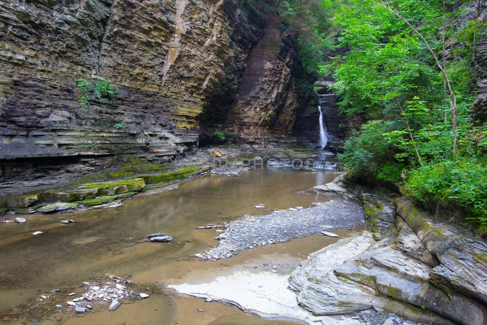 Watkins Glen State Park